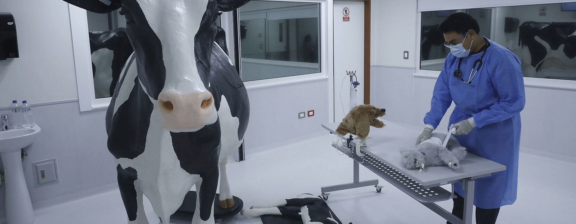 veterinaria-optimizado_web